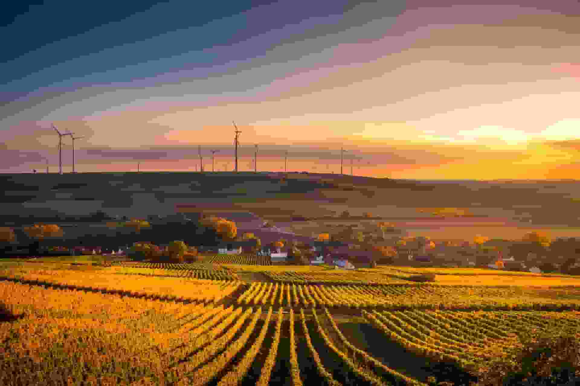 Landscape of farmland. Image from pexels.