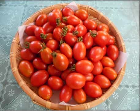 Tomatoes