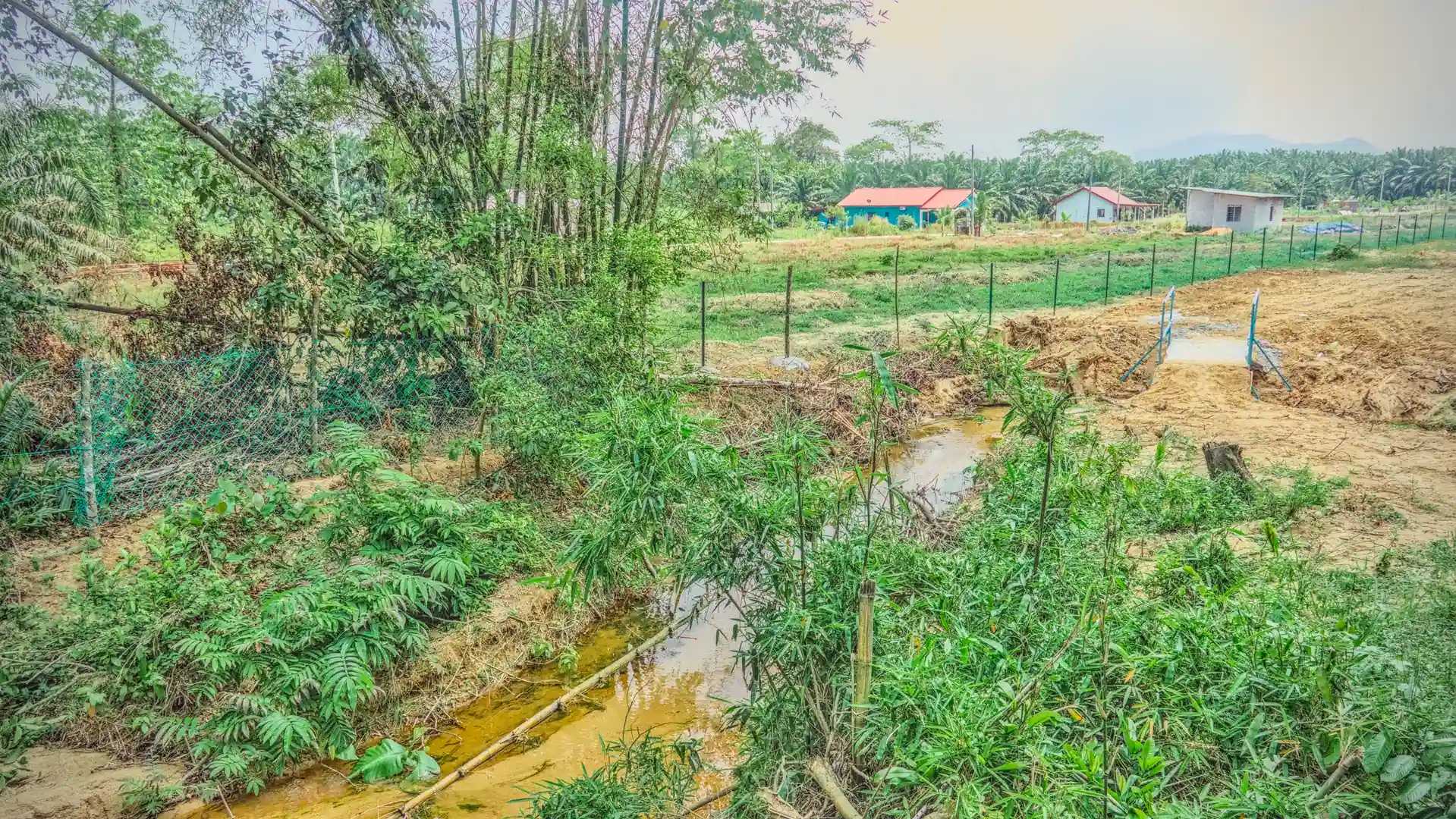 Shot of the DAIO Pongamia Johor plantation showing a small river meandering through the property.