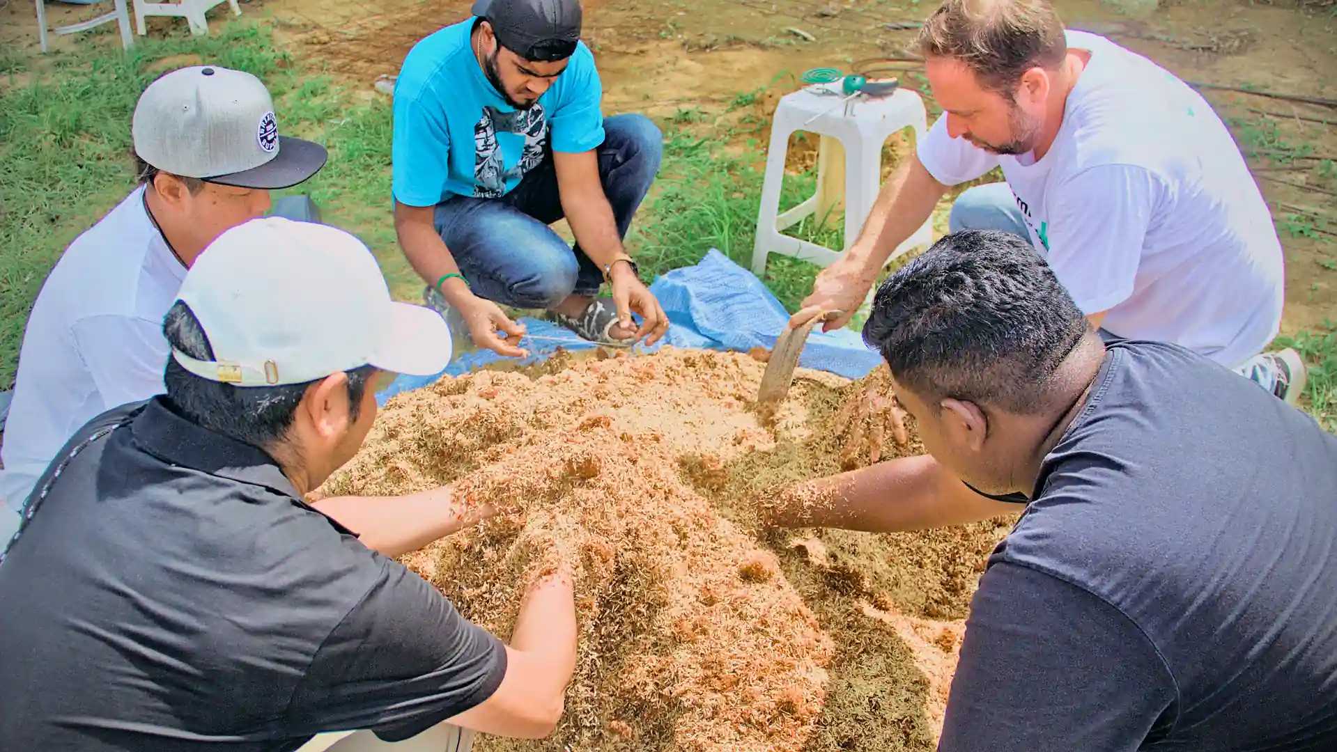 Many people kneeling to help mix fertiliser.