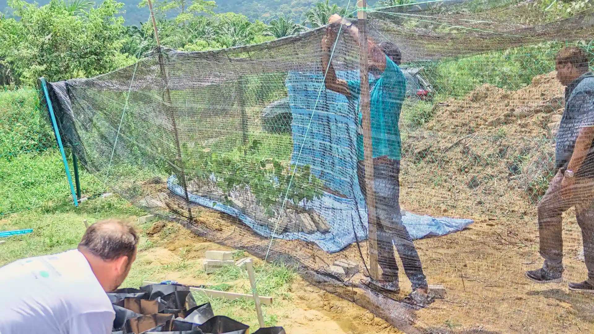 Men arranging a makeshift roof for the Pongamia seedlings to protect them from bad weather.