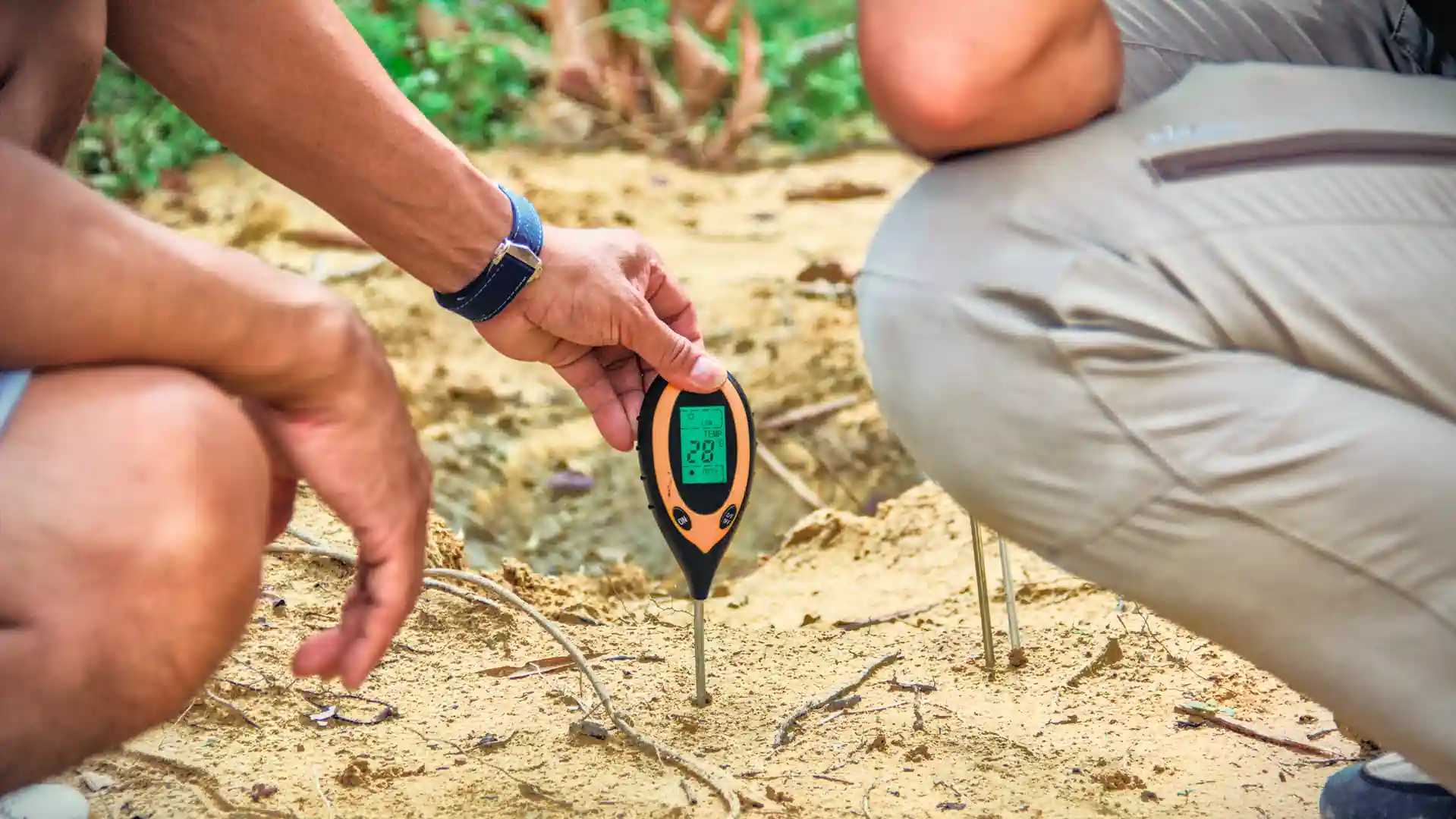 pH meter reading placed in the ground with two men half in frame kneeling to check.