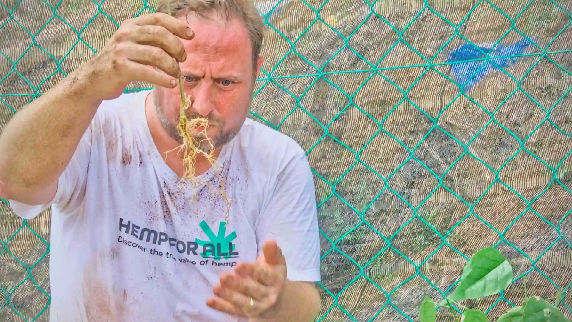 Man holding Pongamia roots.