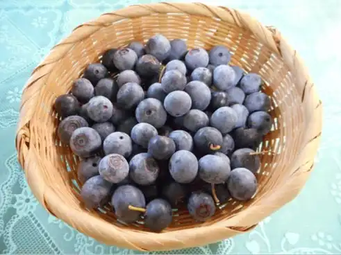 Blueberries